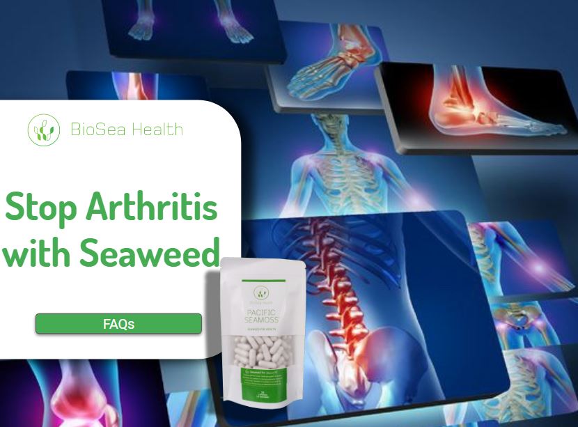 Arthritis pain reduced with seaweed Pacific Seamoss